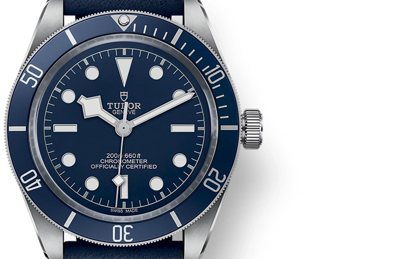 Tudor Black Bay M79030B-0002 WatchProject 21 Shop